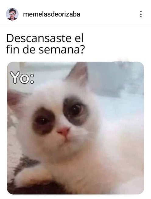 Jazmin Trujillo (@noratrujillo) on Twitter photo 