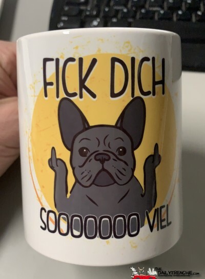 DailyFrenchie's tweet image. Das Wirt zum Wochenstart - bit.ly/2OKFPp3 - #frenchie #bulldog #frenchbulldog #frenchbo #puppylove