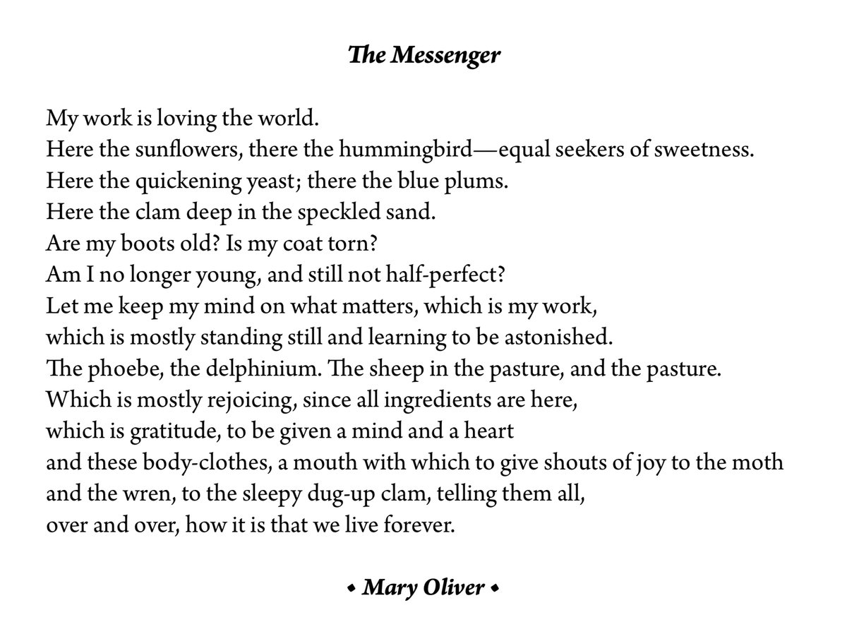 EKQJRzpXkAATkOU happy thanksgiving, friends! here's a poemmary oliver to