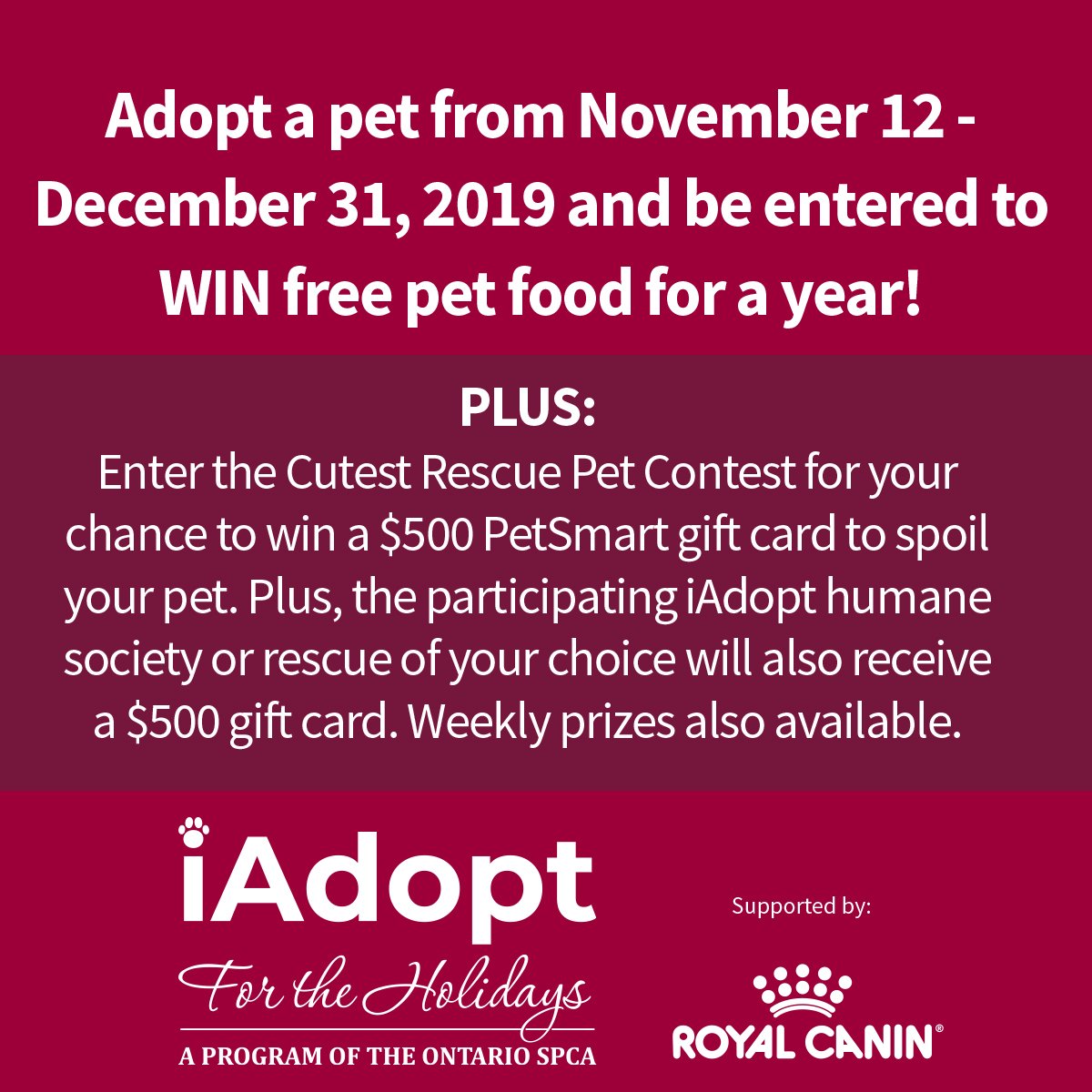 scarescue's tweet photo. To change an animals life during iAdopt for the holidays, visit https://t.co/KYfcJGO5x9. To view animals available for adoption through Second Chance Animal Rescue Windsor/Essex, visit https://t.co/3X5hOYxIGh . SCAR stops accepting applications on December 8, 2019. #AdoptDontShop https://t.co/rrvBiMGgGI