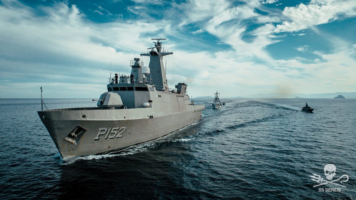 SeaShepherdSSCS's tweet photo. Sea Shepherd is proud to work with the Mexican Navy in the Upper Gulf of California to protect the critically endangered #vaquita porpoise. Each year on November 23rd, Navy Day commemorates the men and women working in the Mexican armed forces. Learn more: https://t.co/xVgtRNPvpP https://t.co/APeqdlsGV7