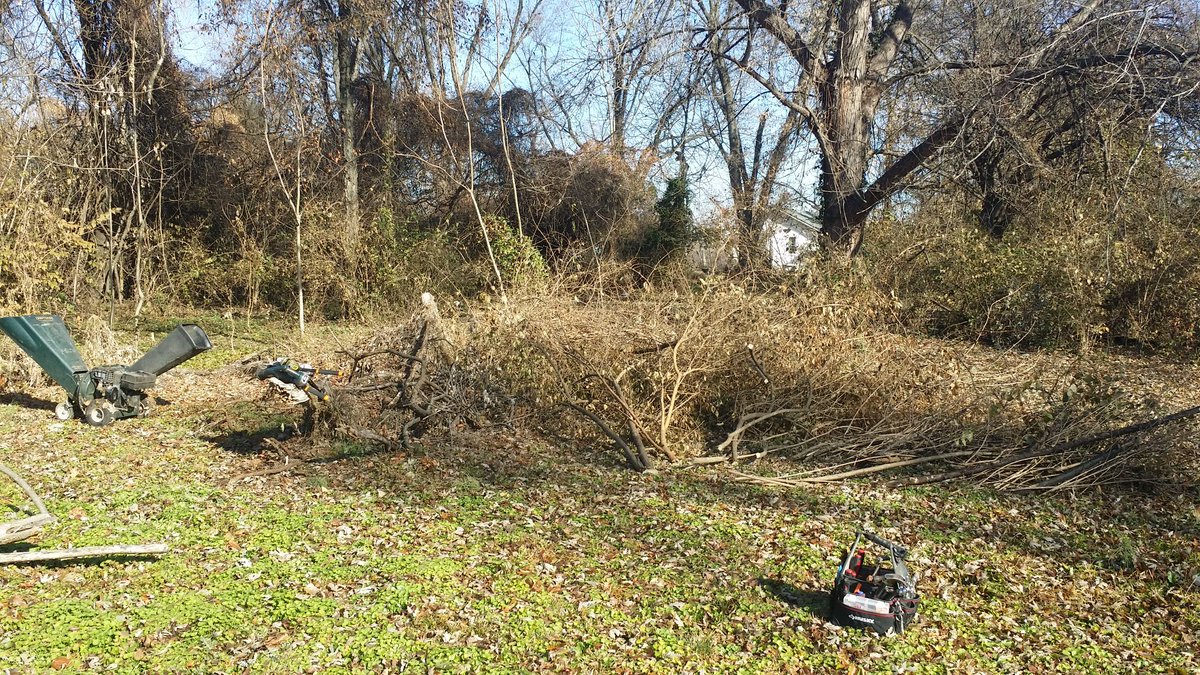 Been a while so:Work is slow at this timeBegan teaching my grand kidLittle projects mostly getting doneHave begun clearing brush--hope to be done by Spring pics from the brush pile me &  @Docta_Jazz delt with over the weekend & I still have 1/2 an acre to clear