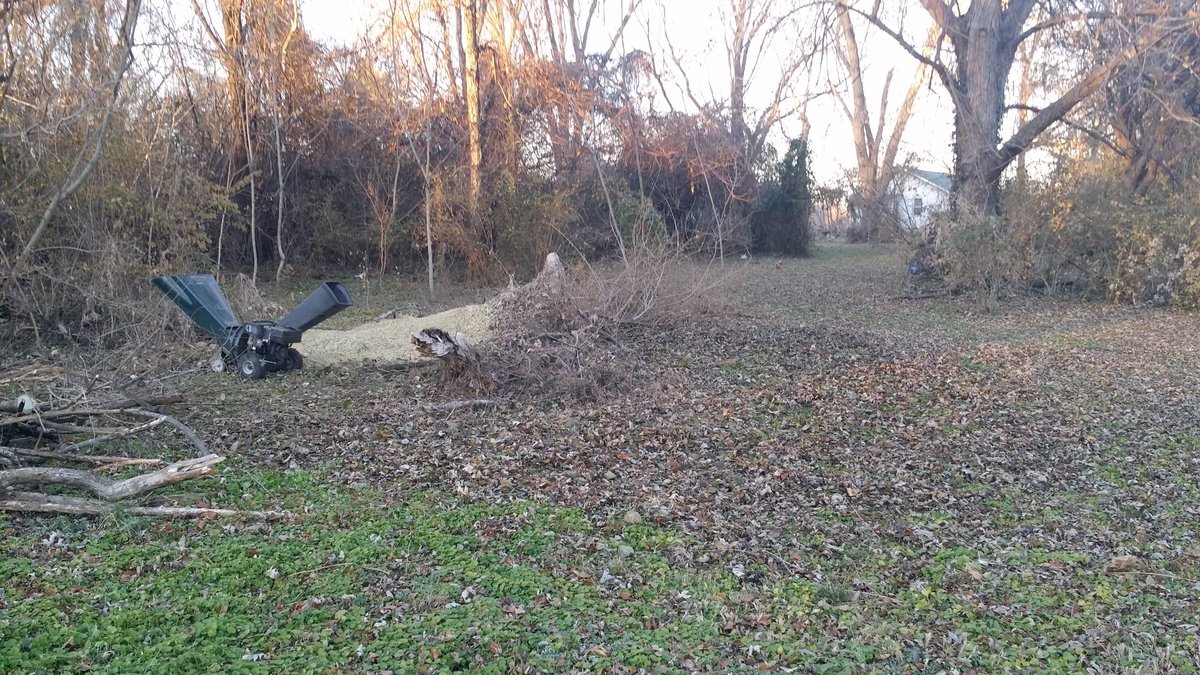 Been a while so:Work is slow at this timeBegan teaching my grand kidLittle projects mostly getting doneHave begun clearing brush--hope to be done by Spring pics from the brush pile me &  @Docta_Jazz delt with over the weekend & I still have 1/2 an acre to clear