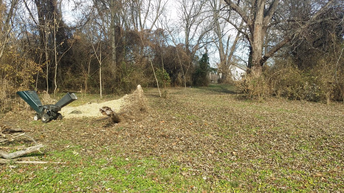 Been a while so:Work is slow at this timeBegan teaching my grand kidLittle projects mostly getting doneHave begun clearing brush--hope to be done by Spring pics from the brush pile me &  @Docta_Jazz delt with over the weekend & I still have 1/2 an acre to clear