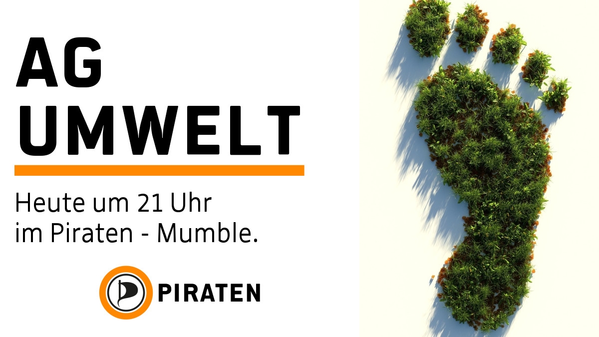 Bild/Foto