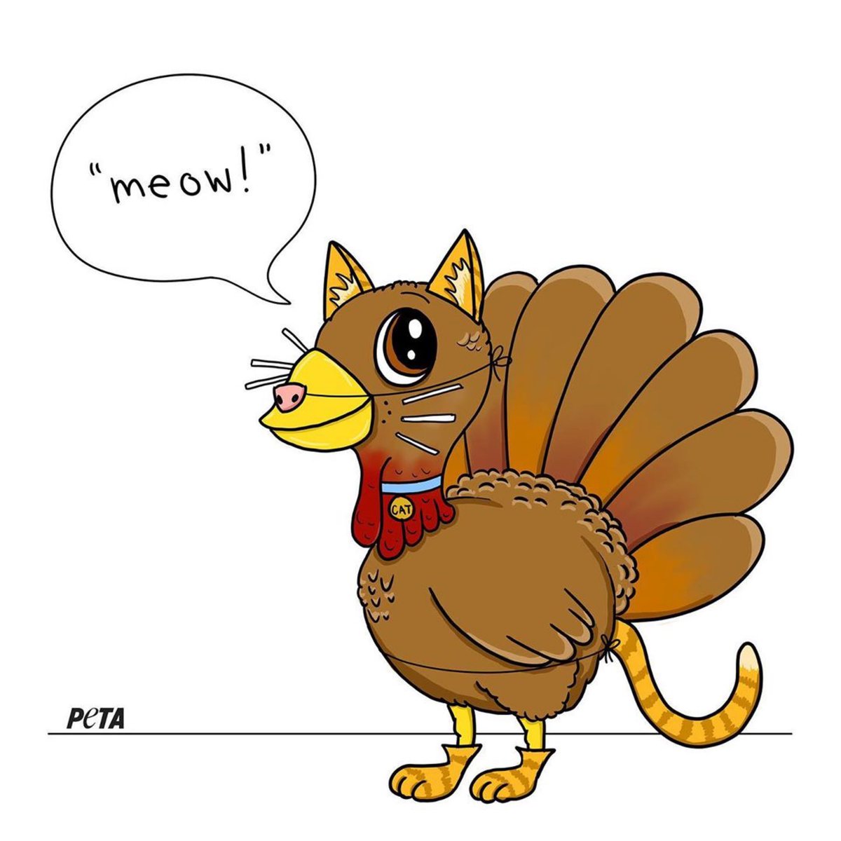 animalsavemvmt's tweet image. If I pretend to be a cat, will you let me live this #thanksgiving?

@peta 

#vegan