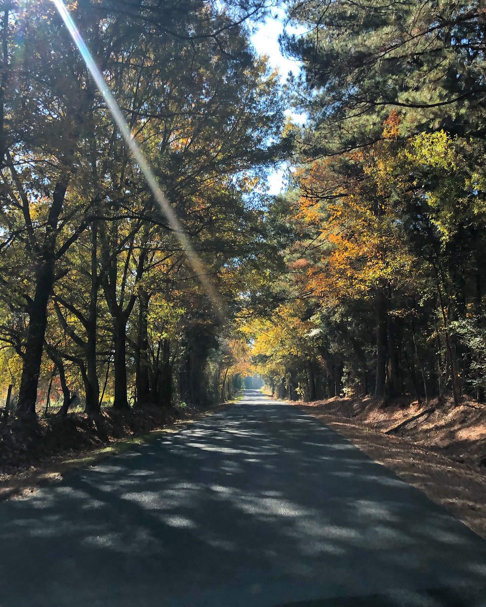 charlestonlaff's tweet photo. Take the backroads. #agvocate #wardwork https://t.co/qrnkus4gQt