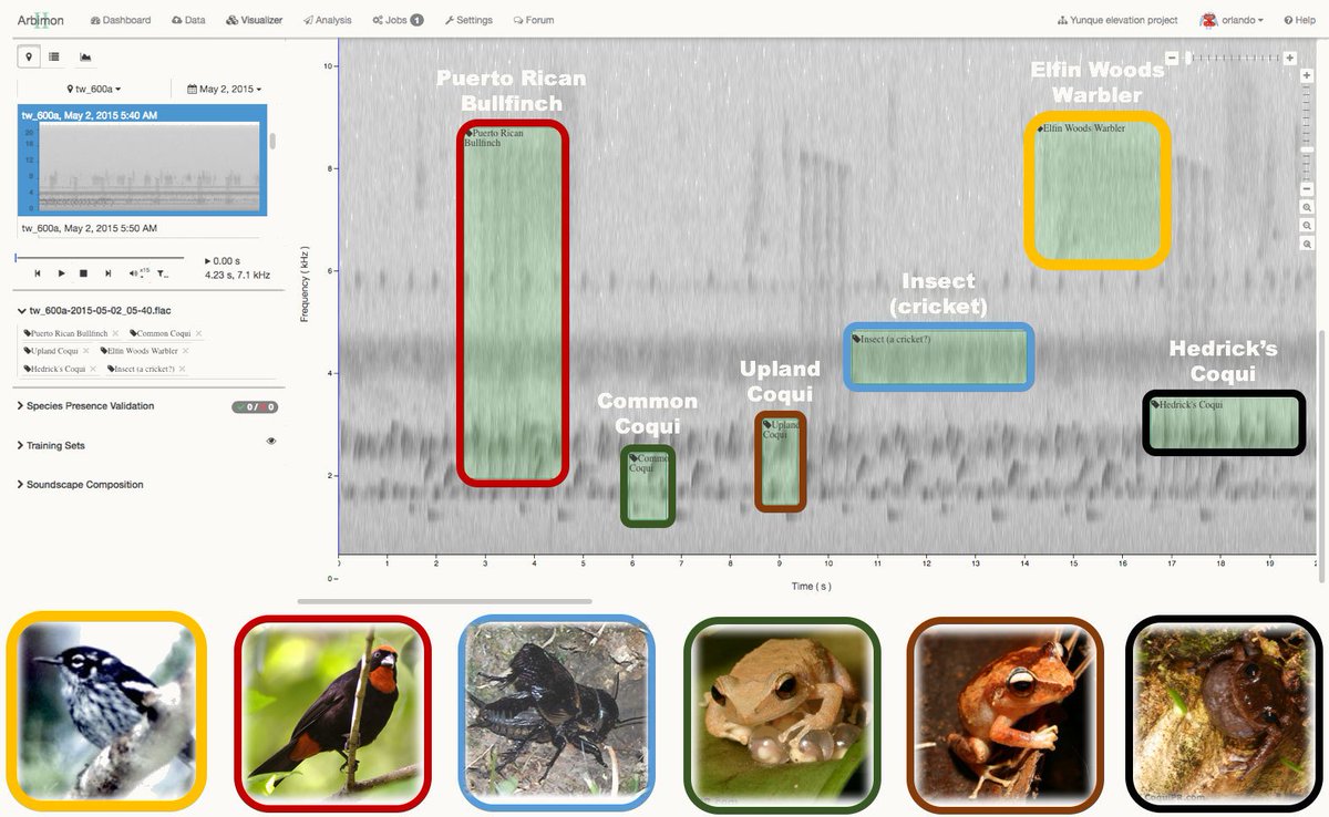 @PNASNews @amygmcdermott @LeahBarclay @soundtent @BioScapes @SonicEnviro @LocusSonus_ @AdaptationSongs @wildambience @ParksLabSU 🔊 Listening to Nature: The Emerging Field of #Bioacoustics —'Researchers are increasingly placing microphones in forests and other ecosystems to monitor birds, insects, frogs, and other animals.'— Cool article on studying natural #soundscapes. bit.ly/2OMDudd @YaleE360