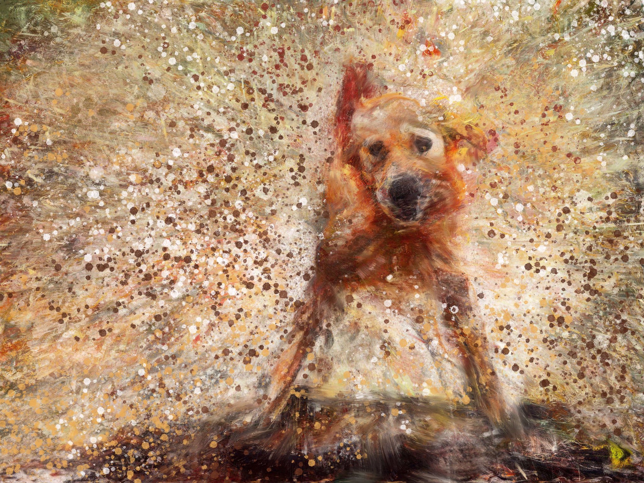 Oscar Jetson Dog Art on Twitter: Oscar Jetson Dog Art on Twitter: