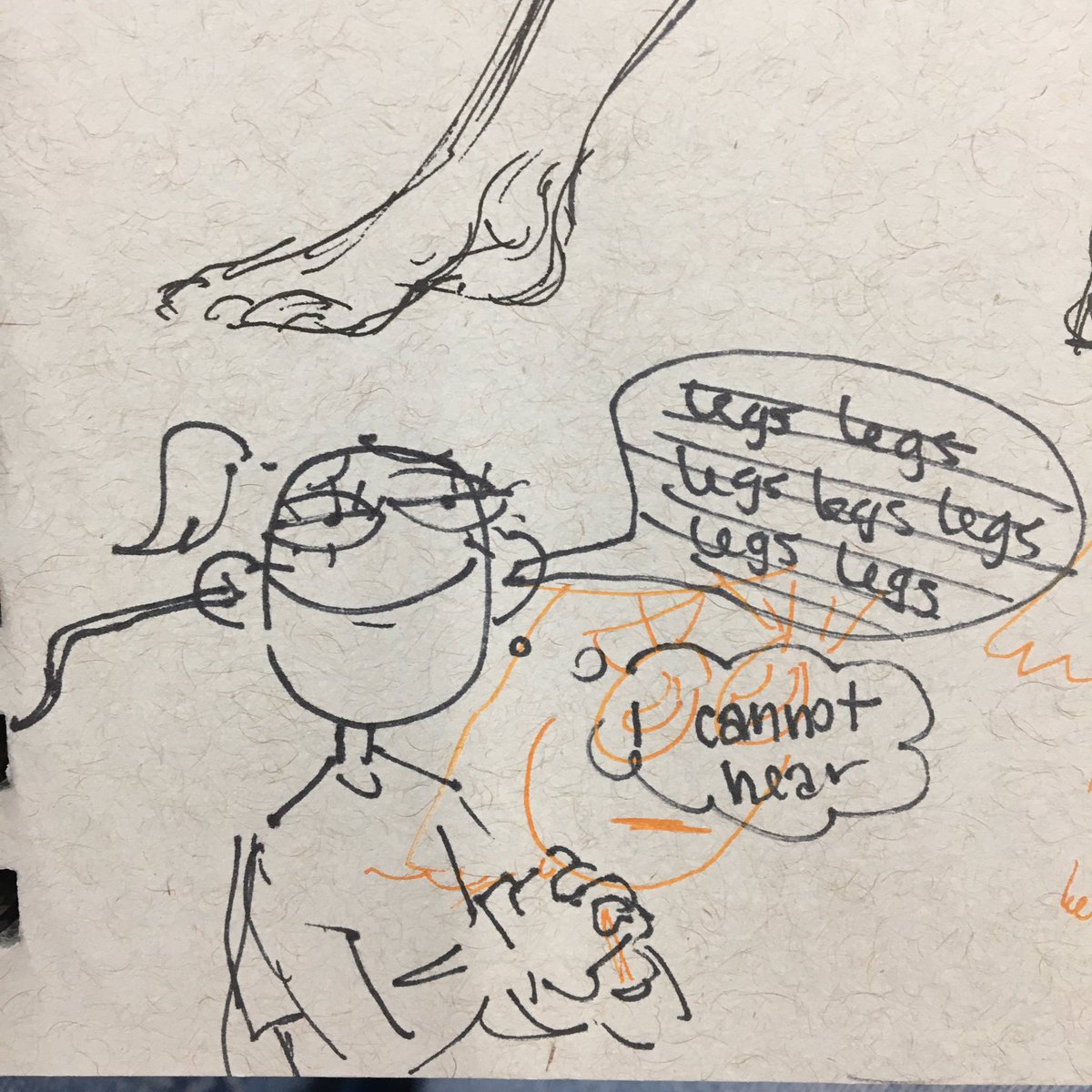 anatomy moodboard 