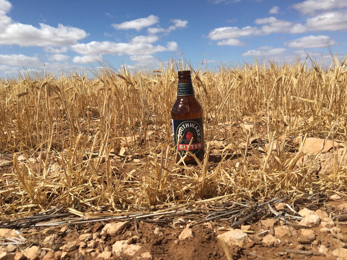 Very impressed with the macdon flex, getting the top two thirds with ease