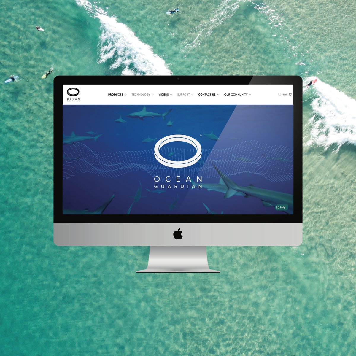 🥁.... WE HAVE A NEW WEBSITE! 👏 👏 We’ve said goodbye to the old clunker that took forever &amp; day to load and have a new super-fast squeaky-clean site that we hope you’ll love as much as we do! Check it out! sharkshield.com