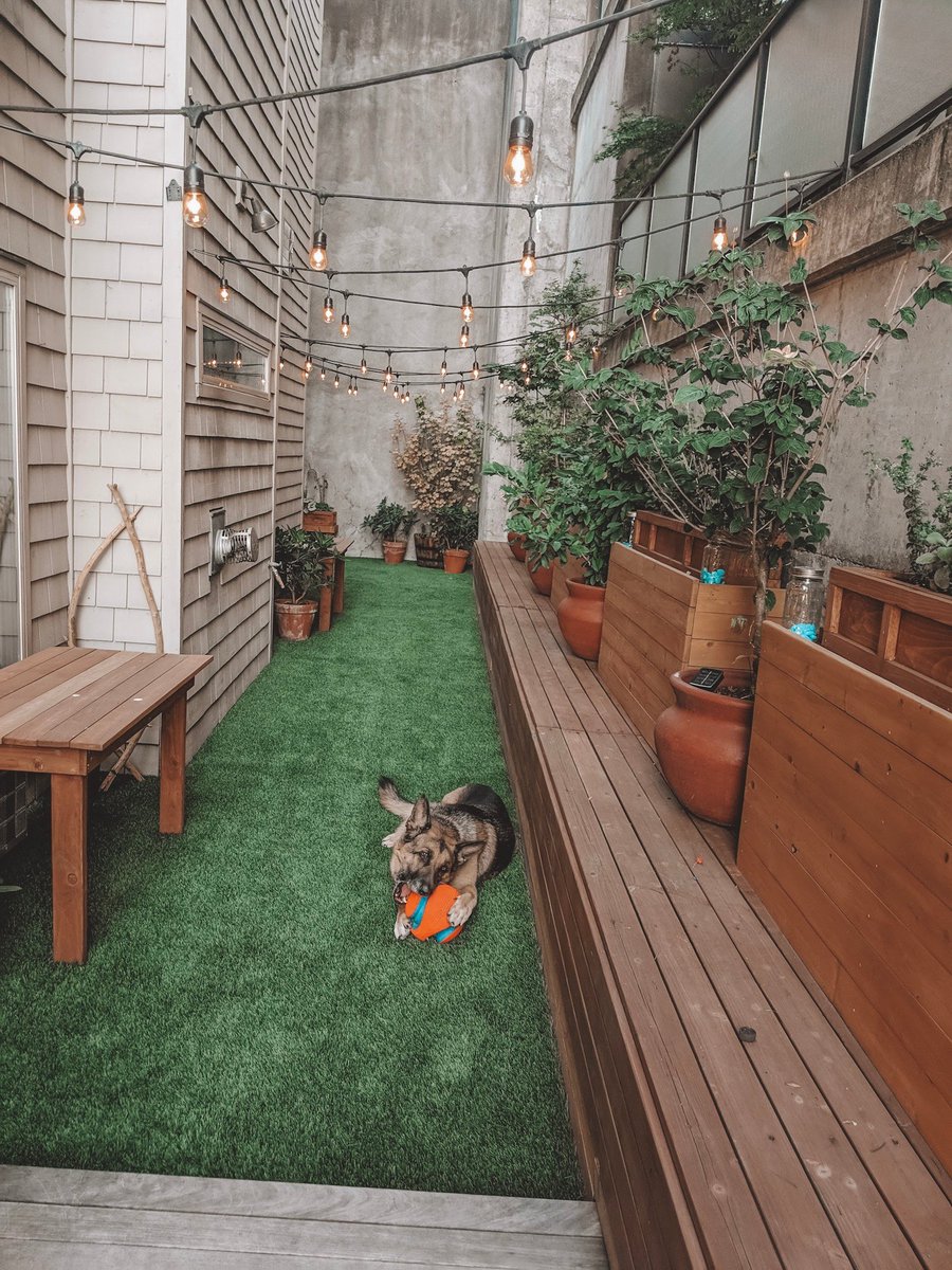 Wow.. looks like a good life! Couple of pups enjoying the heck out of their turf! Our state-of-the-art Synthetic Turf pet systems are easy to maintain and simplify life with your four legged family members!! #syntheticturfnw #turflife #turf