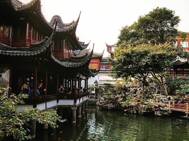A look at one of many ponds and pavilions at Yu Garden