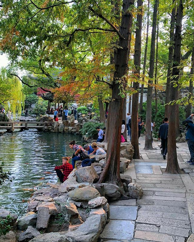 Walking among the ponds of Yu Garden