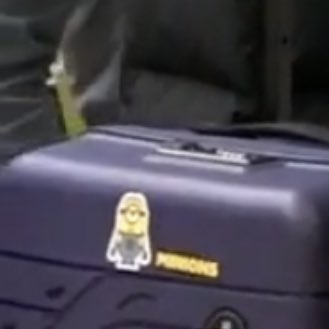 yestyday's tweet photo. taeyong has a minion sticker on his luggage! https://t.co/5eXVVAVT7v