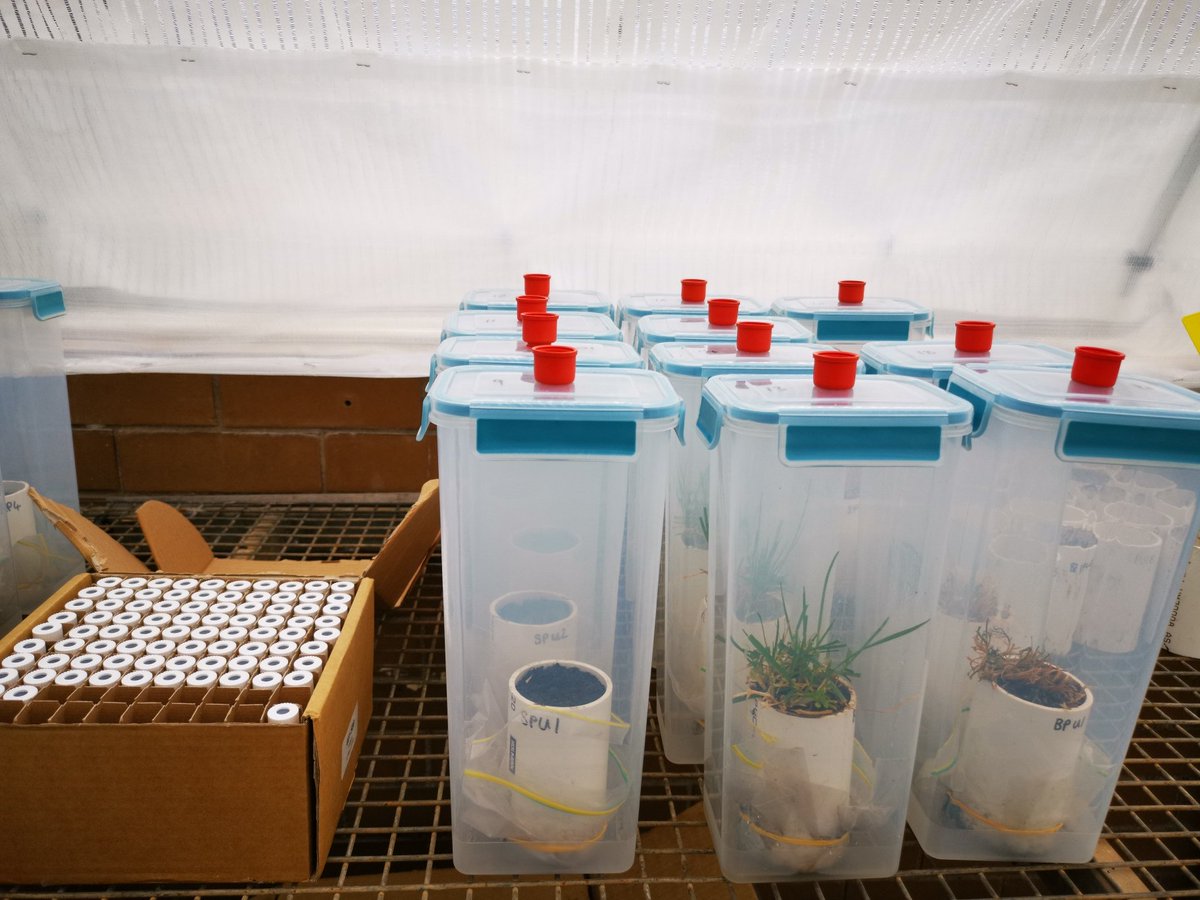 Target-N2O tweet media