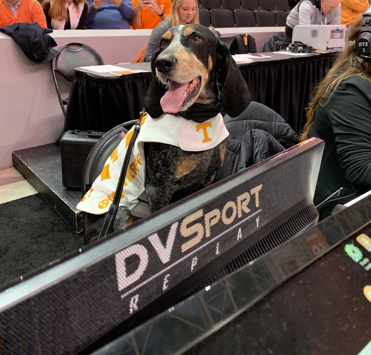 replay confirms. i am the goodest boy. #smokeytakeover