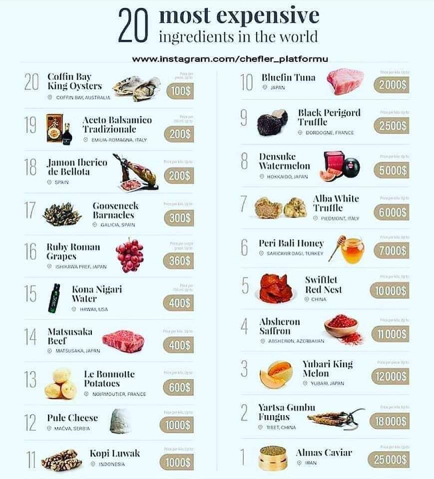 Dxnganoderma19's tweet image. 