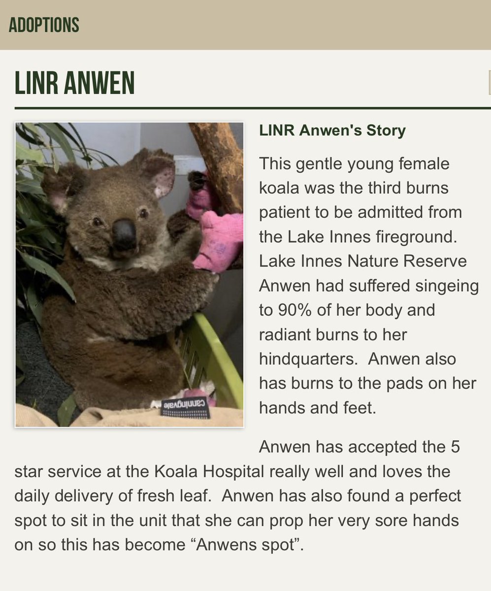 Almost forgot, here’s her story on the website!! the name “Anwen” also translates from Welsh to “Very Beautiful” 