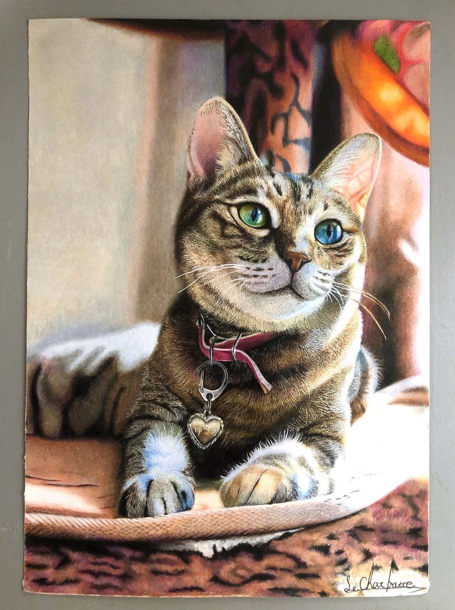 中学3年の頃からほぼ毎日絵を描き続けた結果 色鉛筆のイラストが写真のような出来上がりに 継続は力 中3の時から上手い Togetter 中学3年の頃からほぼ毎日絵を描き続けた結果 色鉛筆のイラストが写真のような出来上がりに 継続は力 中3の時から上手い Togetter