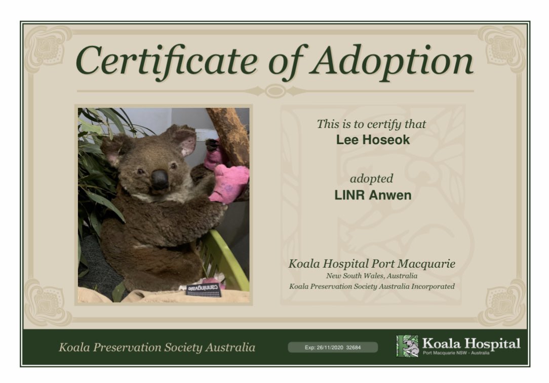 MONBEBES meet Anwen, monbebe’s latest addition to our zoo :) She was admitted for the burns covering 90% of her body due to the the fires in Australianat the Lake Innes Nature Reserve where over 350 koalas have been k*lled since Nov. 10. She was adopted in Wonho’s name bc we +