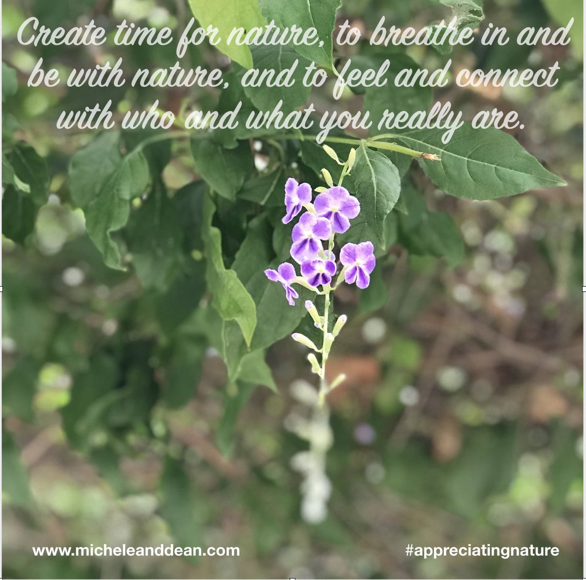 MichandYasu's tweet photo. It's easy to forget who we really are if we rush through our lives. Making space in our daily life to breathe for a few moments while being with or gazing at nature can help us feel our connection with the Infinite which is healthy fuel for a vibrant life.
#micheleanddeanllc https://t.co/c2LypYeilM