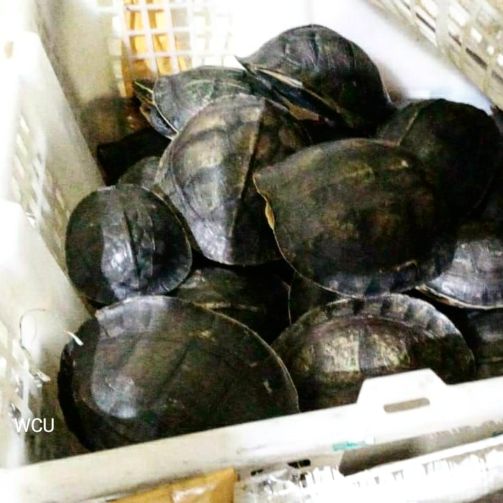 Dwi N. Adhiasto tweet media