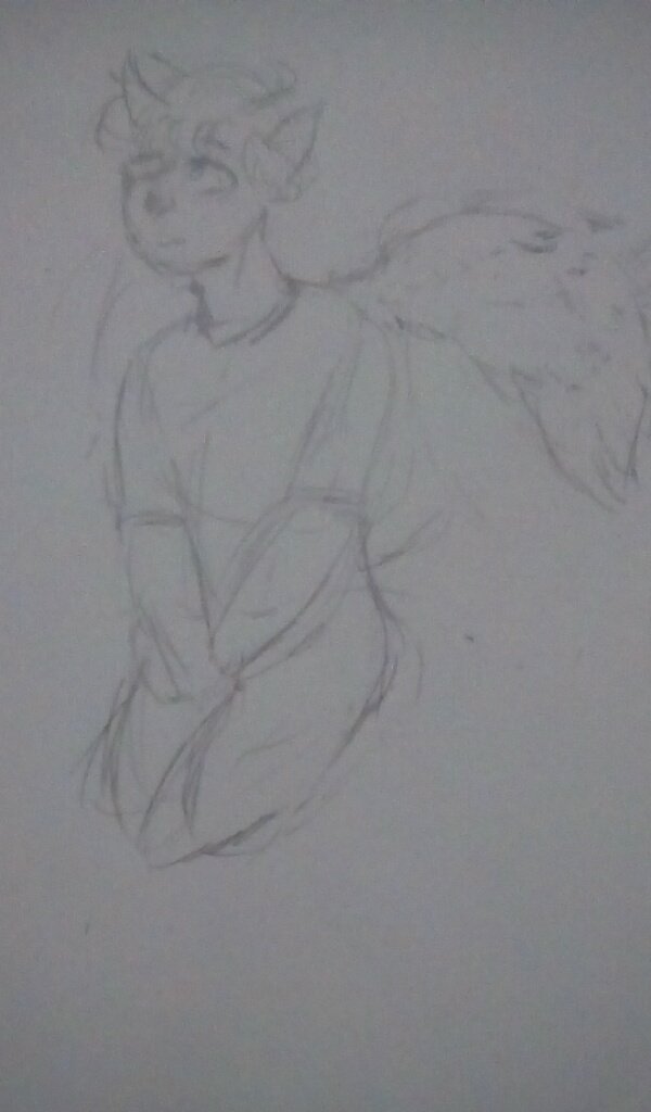 neko Nogla desires headpats