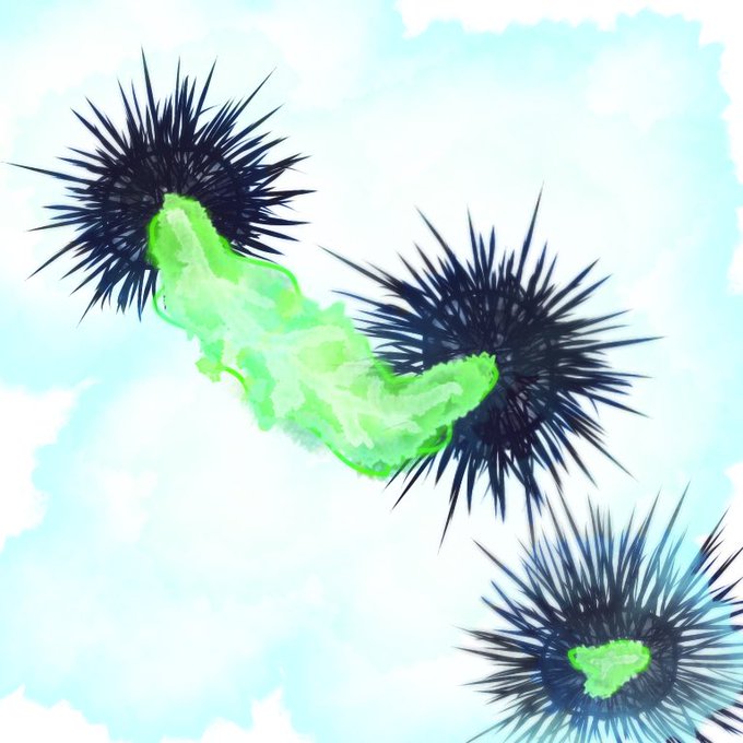 キャベツを食べるウニのtwitterイラスト検索結果 キャベツを食べるウニのtwitterイラスト検索結果