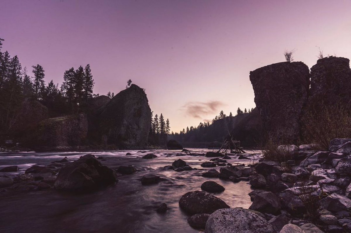 SpokanePulse tweet media