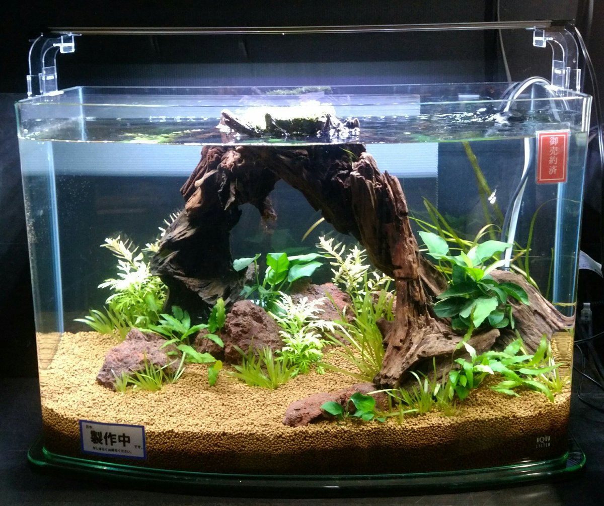 21年新作 アクアシステム クリスティ45h Fucoa Cl