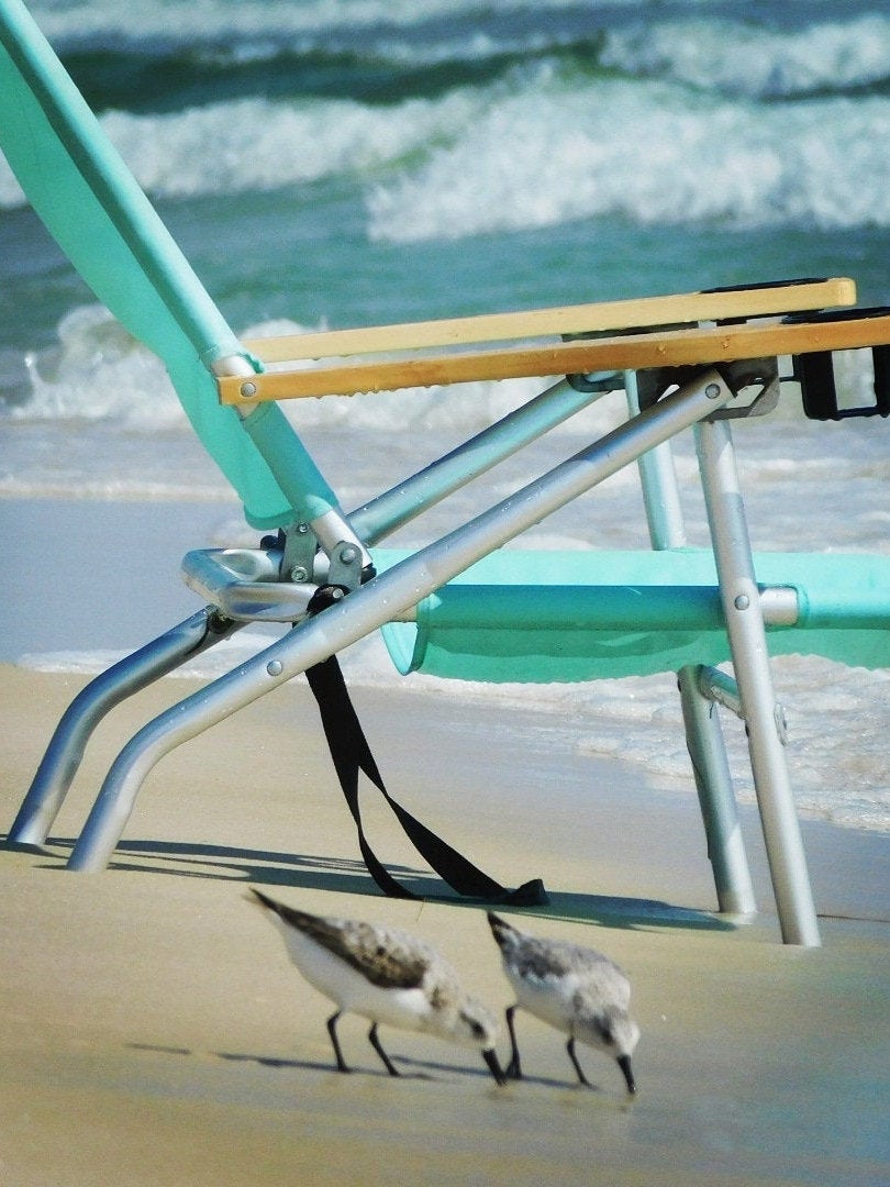 buckyboymike's tweet photo. Excited to share the latest addition to my #etsy shop: My Happy Place https://t.co/n66i4G7Bbc #art #photography #bedroom #beachtropical #beach #colorprints #homedecor #wallhanging #michaelschmidtphotos https://t.co/vCZjrIOq7v