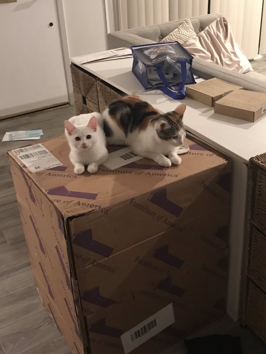 I feel so happy when they are hanging out together