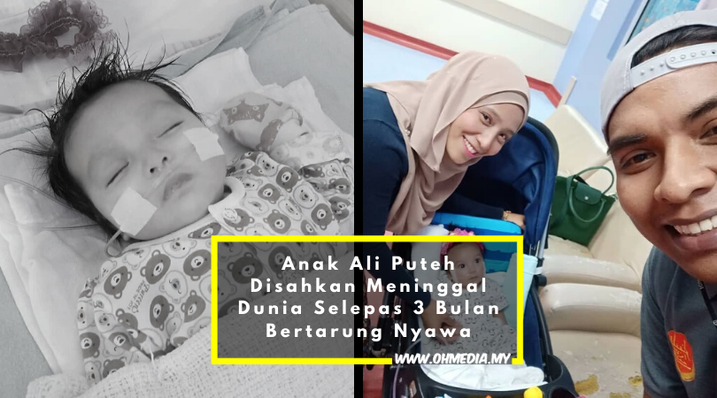 Injap Jantung Ciri Ciri Pintu Masuk Biologi Penyakit Dan Keadaan 2021