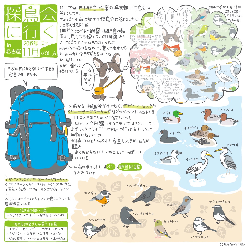 日本野鳥の会愛知県支部の探鳥会に参加してきました。
バードウォッチングを始めてちょうど1年の体験レポイラスト。
写真はさかさまヤマガラ、何かをつついては捨てるハシボソガラス、近くまで来てくれたホシハジロ。
#イラスト #バードウォッチング #野鳥 #体験レポ 