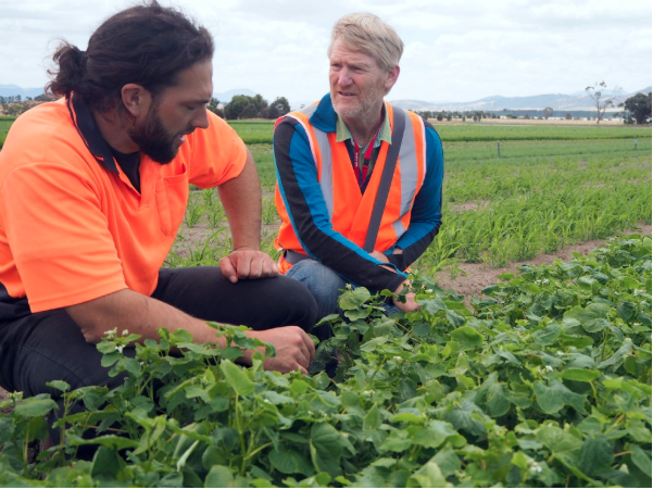 SoilWealth tweet media