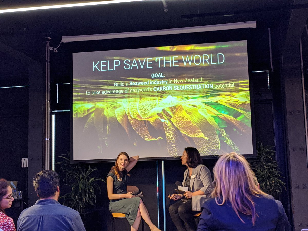 Next up its  @ElyseWyatt_NZ and Carly (?) talking about the weed industry...The SEAweed industry.Got into it looking at seaweed based bioplastic @HardwareAKL  #HardwareAKL – at  Grid AKL