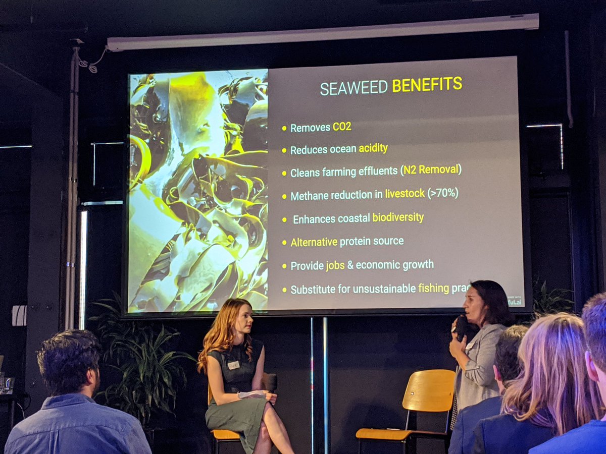 Lots of benefits of seaweed and there is a lot we can do with it.At Kelp Save The World they're trying to develop as many of these kelp uses as possible. Especially where it creates higher value products to make it more economic. @HardwareAKL  #HardwareAKL – at  Grid AKL