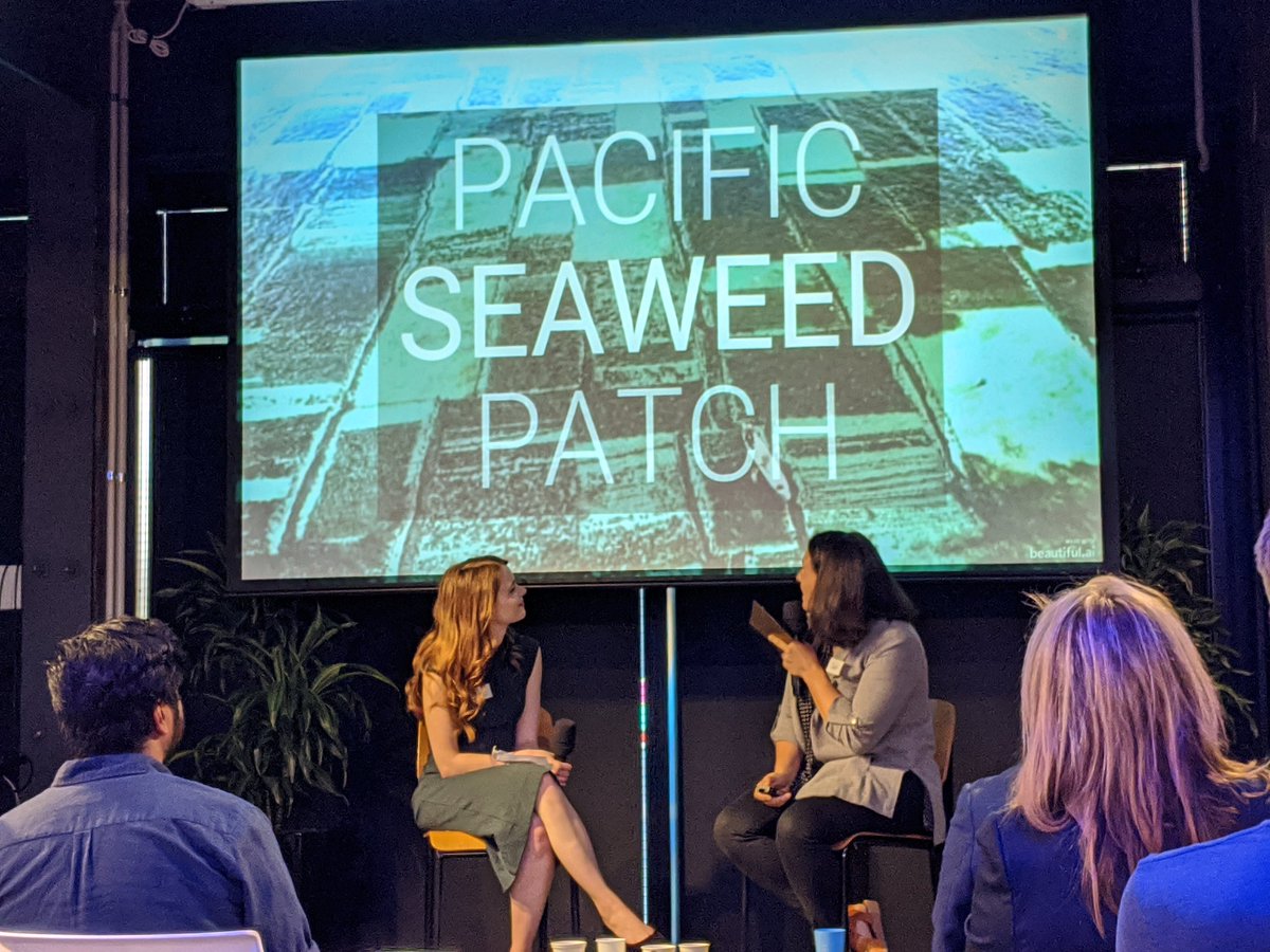 We should get rid of the Pacific Garbage Patch and replace it with a Pacific Seaweed Patch instead. @HardwareAKL  #HardwareAKL – at  Grid AKL