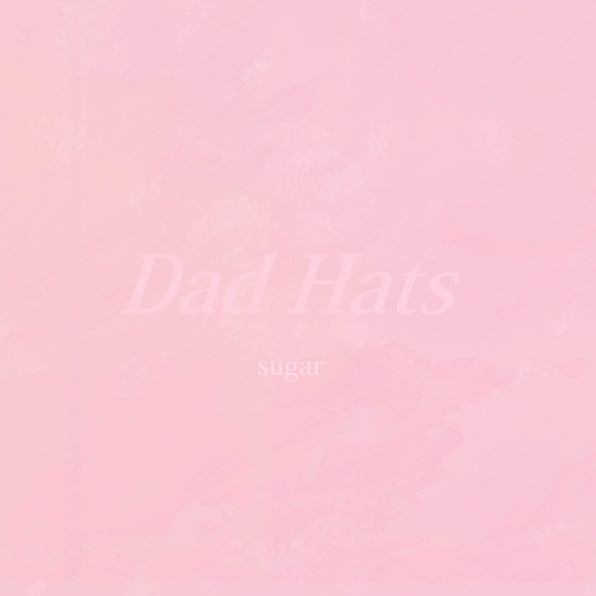 Dad Hats tweet media
