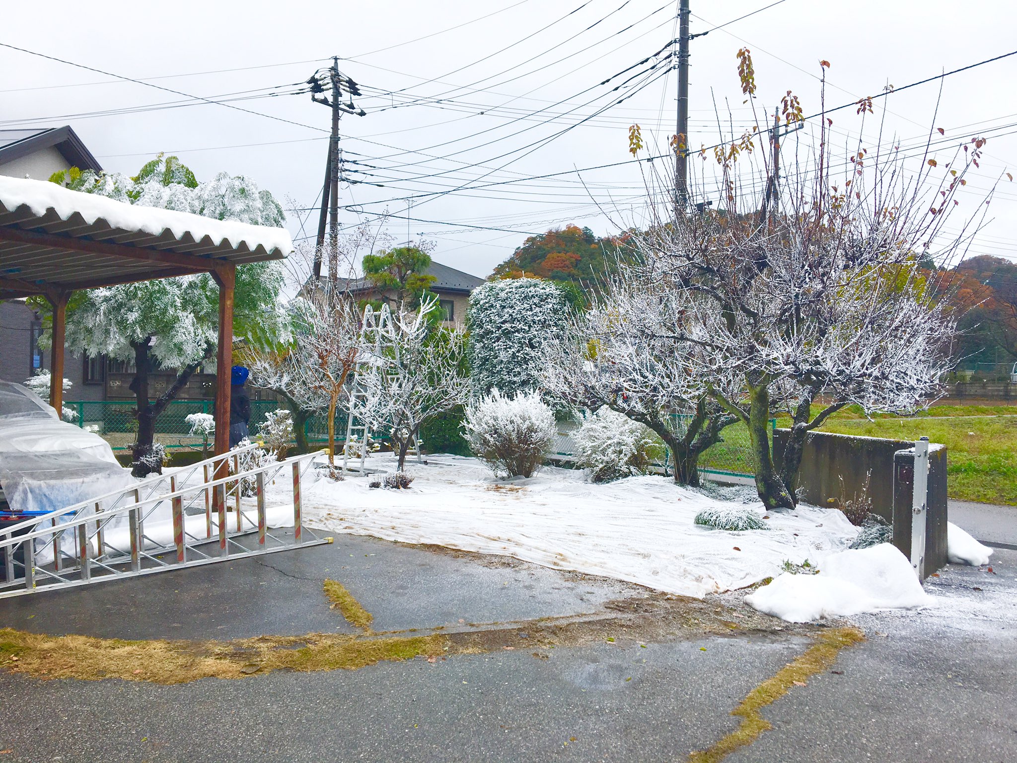 テセウスの船宮城県ロケ地 音臼小学校や温泉など音臼村の撮影場所まとめ テセウスの船宮城県ロケ地 音臼小学校や温泉など音臼村の撮影場所まとめ