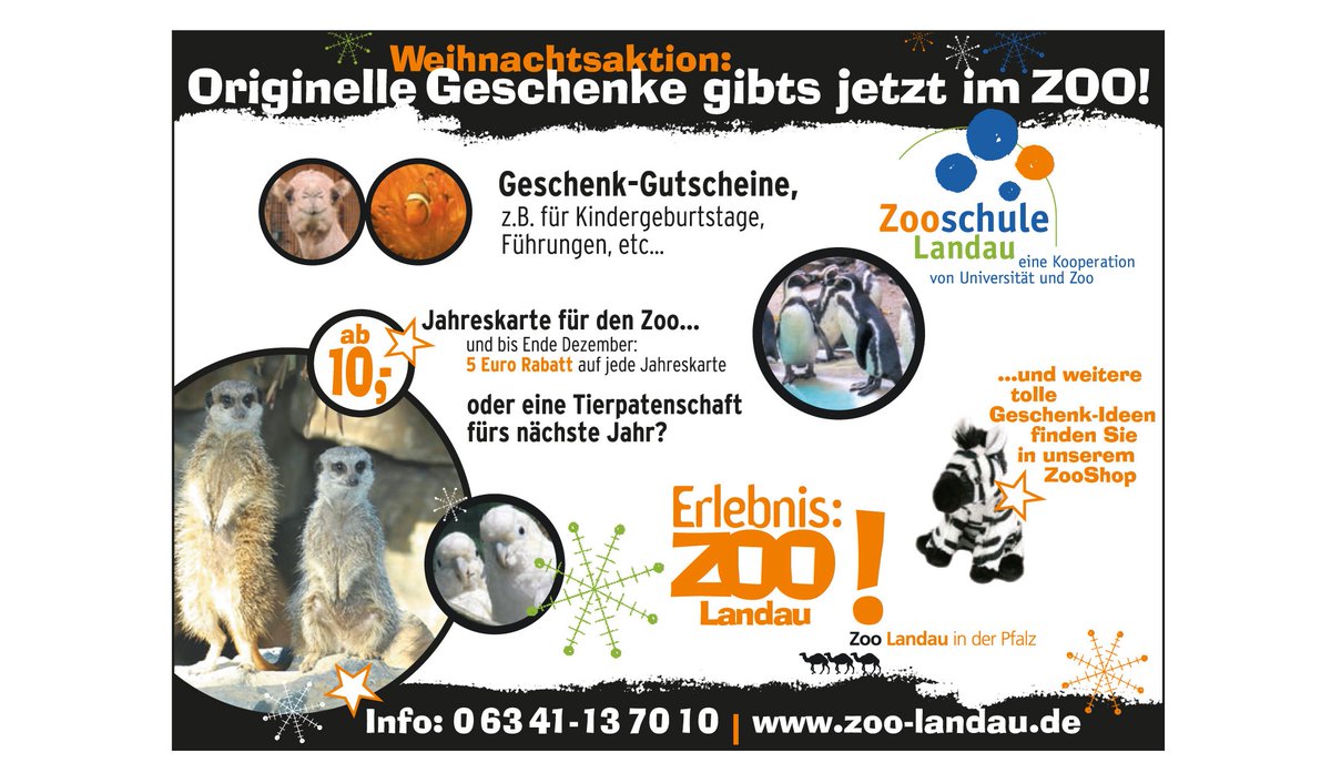 Tolle Weihnachtsgeschenk-Ideen für Zoofans 
Ab 1. Advent wieder Jahreskarten-Rabattaktion im Zoo Landau in der Pfalz. Ist eine prima Geschenkidee für Jung und Alt. #anzeige #weihnachten #zoobesuch #weihnachtsgeschenke #landau #zoobesuch #rabattaktion #fächernews @ZooLandau