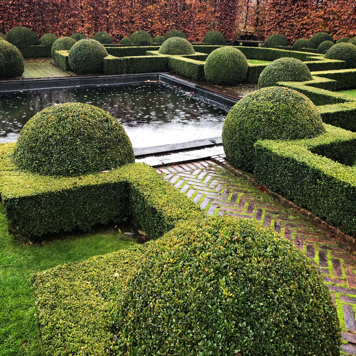 Clipped in October... rained ever since #topiary #buxus, image size:1200x1200