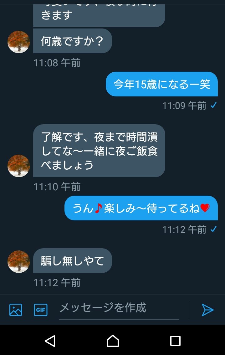 ディーテ on X:  このレポートは、昨今、未成年がSNSで大人と知り合い、出会うことで犯罪に巻き込まれているという問題について実態を探るべく調査を行い、記録にしたものである。  まず、調査員は中学2年の女子生徒に偽装して調査を開始し、接触してきた男性をターゲット ...