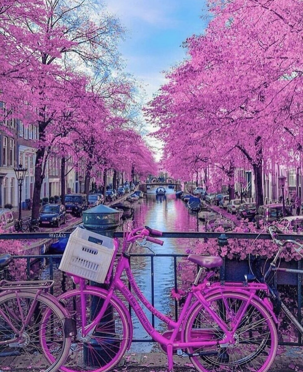 منشنوا مع مين تبون تروحون اللحين امستردام 😍✈️🌸🌸🌸 #halatrip #Amsterdam #سفر #سياحة
