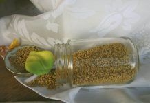 Nutritelia tweet media