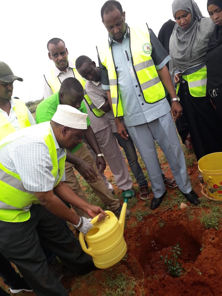real_damsa's tweet photo. Today team #VisionEvergreen #SDG13 are taking part in tree planting day in Mandera County, over 1000 trees will be planted. Great work. https://t.co/LuGWMyt0yg