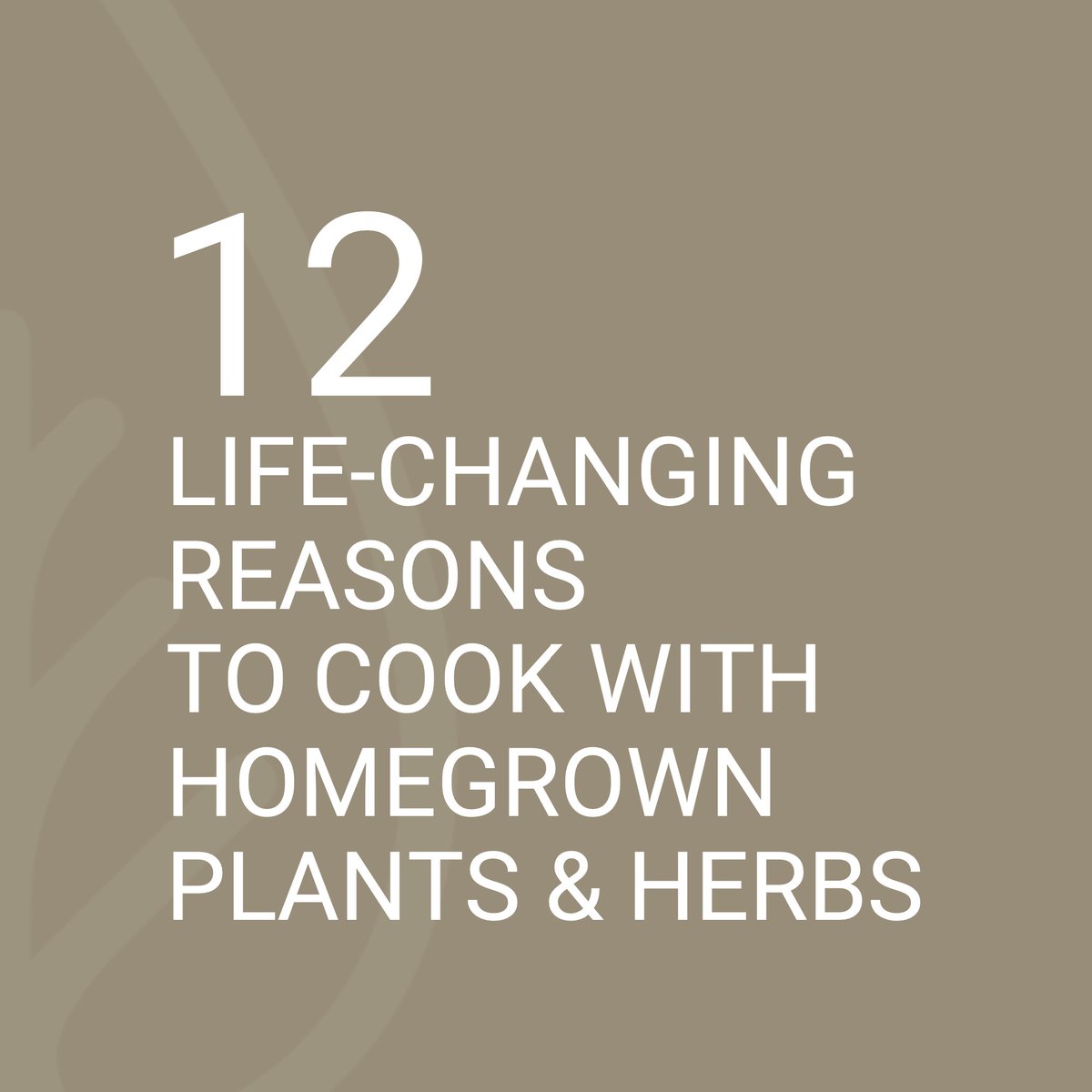 NATUFIA_Labs's tweet image. We believe you can transform your life by growing food in your kitchen.

medium.com/@natufia/12-re… 

#natufia #kitchengarden #kitchentotable #urbangarden #hydroponics #kitchenappliances #cooking #cuisine #health #wellness #lifestyle #kitchen #plantfood #freshfood #homegrown