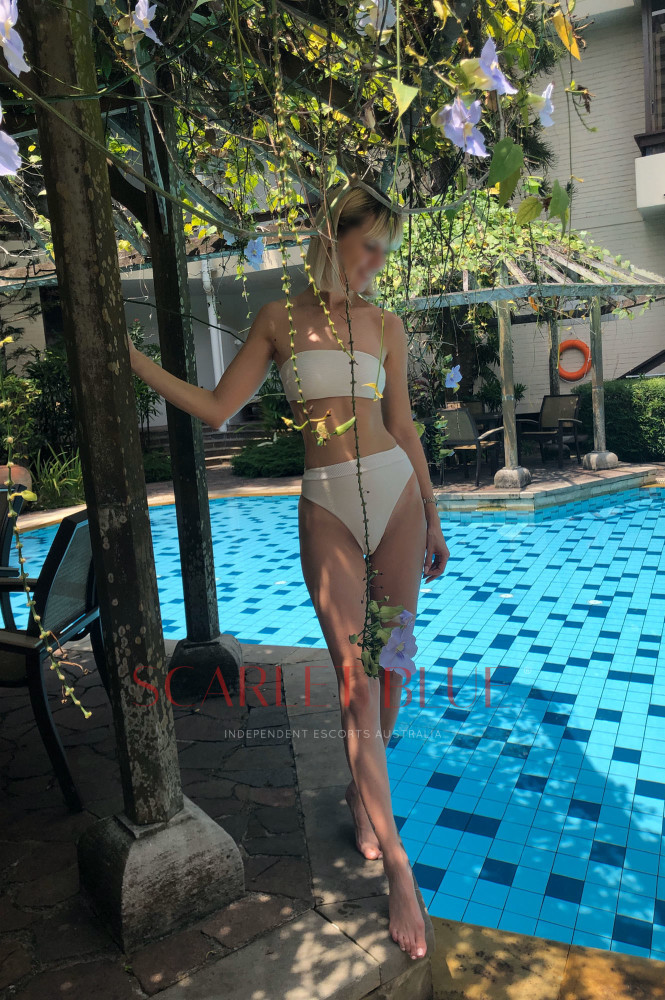 jeanette_classy's tweet photo. VOTE FOR MY IMAGES! Visit my Scarlet Blue profile now, and register your vote for your favourite image https://t.co/yoywNjIcXy https://t.co/bUgxUouXJT